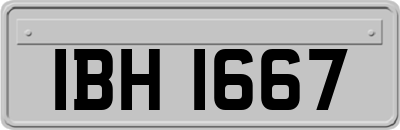 IBH1667