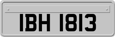 IBH1813