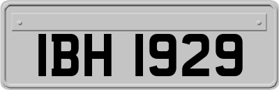 IBH1929