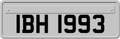 IBH1993