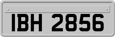 IBH2856