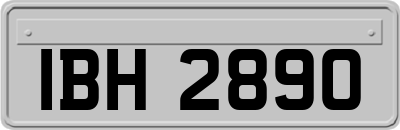 IBH2890