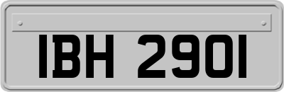 IBH2901