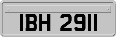 IBH2911