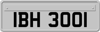 IBH3001