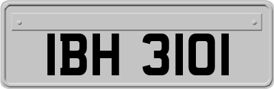 IBH3101