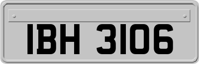 IBH3106