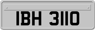 IBH3110