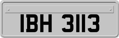 IBH3113