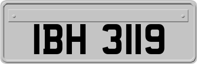 IBH3119