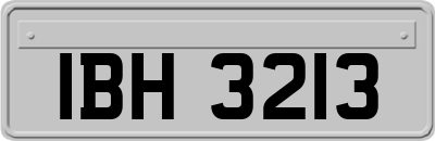 IBH3213