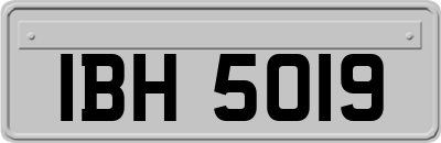 IBH5019