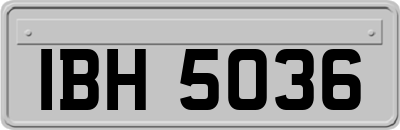 IBH5036