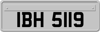 IBH5119