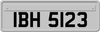 IBH5123