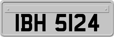 IBH5124