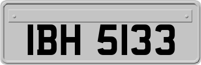 IBH5133