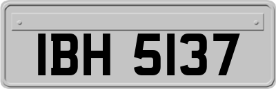 IBH5137