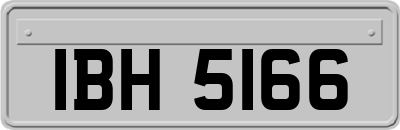 IBH5166