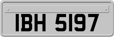 IBH5197