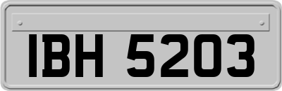 IBH5203