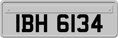 IBH6134