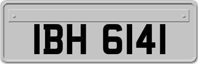 IBH6141