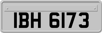 IBH6173