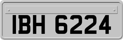 IBH6224