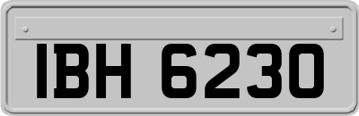 IBH6230