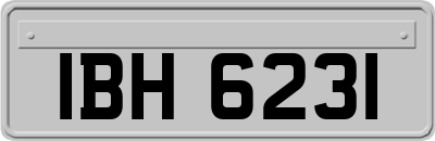 IBH6231