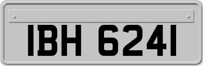 IBH6241