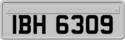 IBH6309