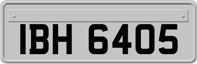 IBH6405