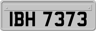 IBH7373