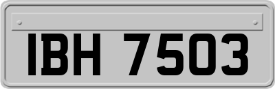 IBH7503