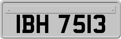 IBH7513