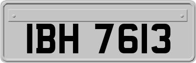 IBH7613