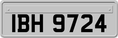 IBH9724