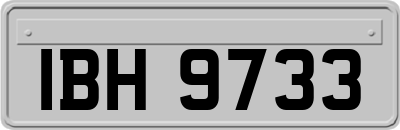 IBH9733