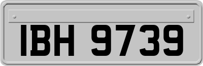 IBH9739