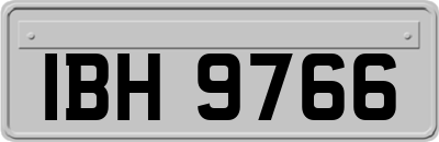 IBH9766