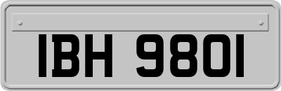 IBH9801