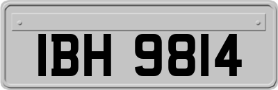 IBH9814