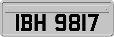 IBH9817