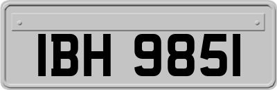 IBH9851