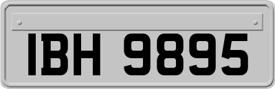 IBH9895