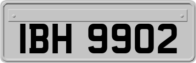 IBH9902