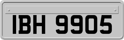 IBH9905