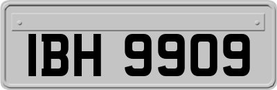 IBH9909